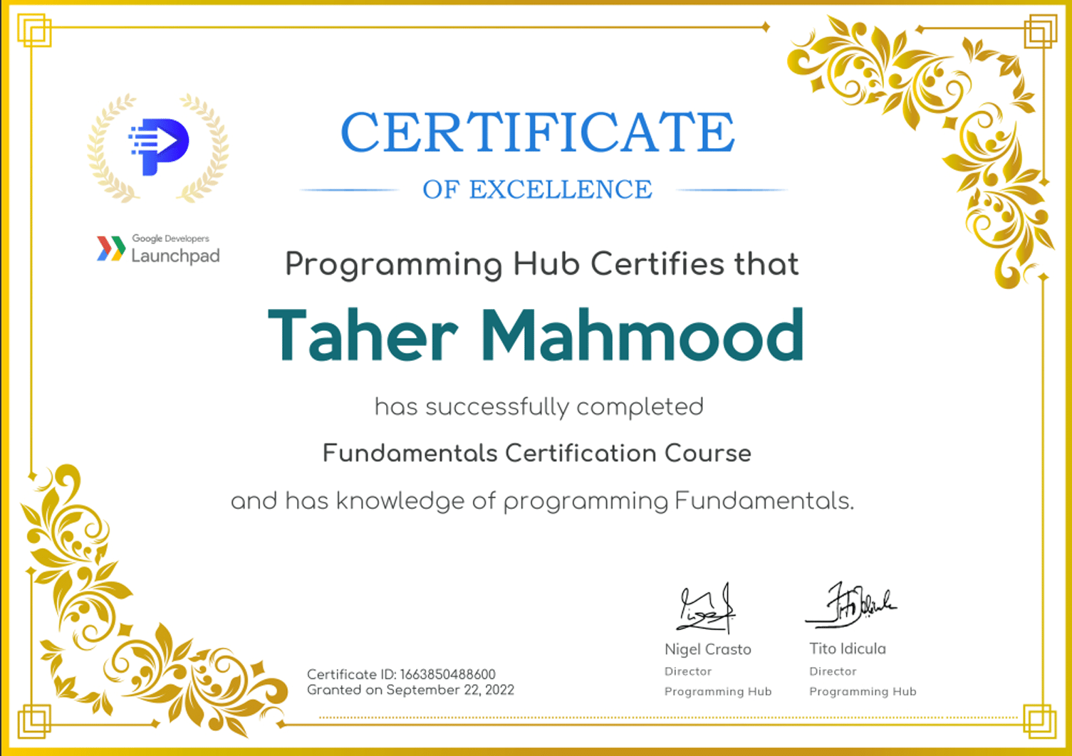 Programming Hub, Programming Fundamentals Certification