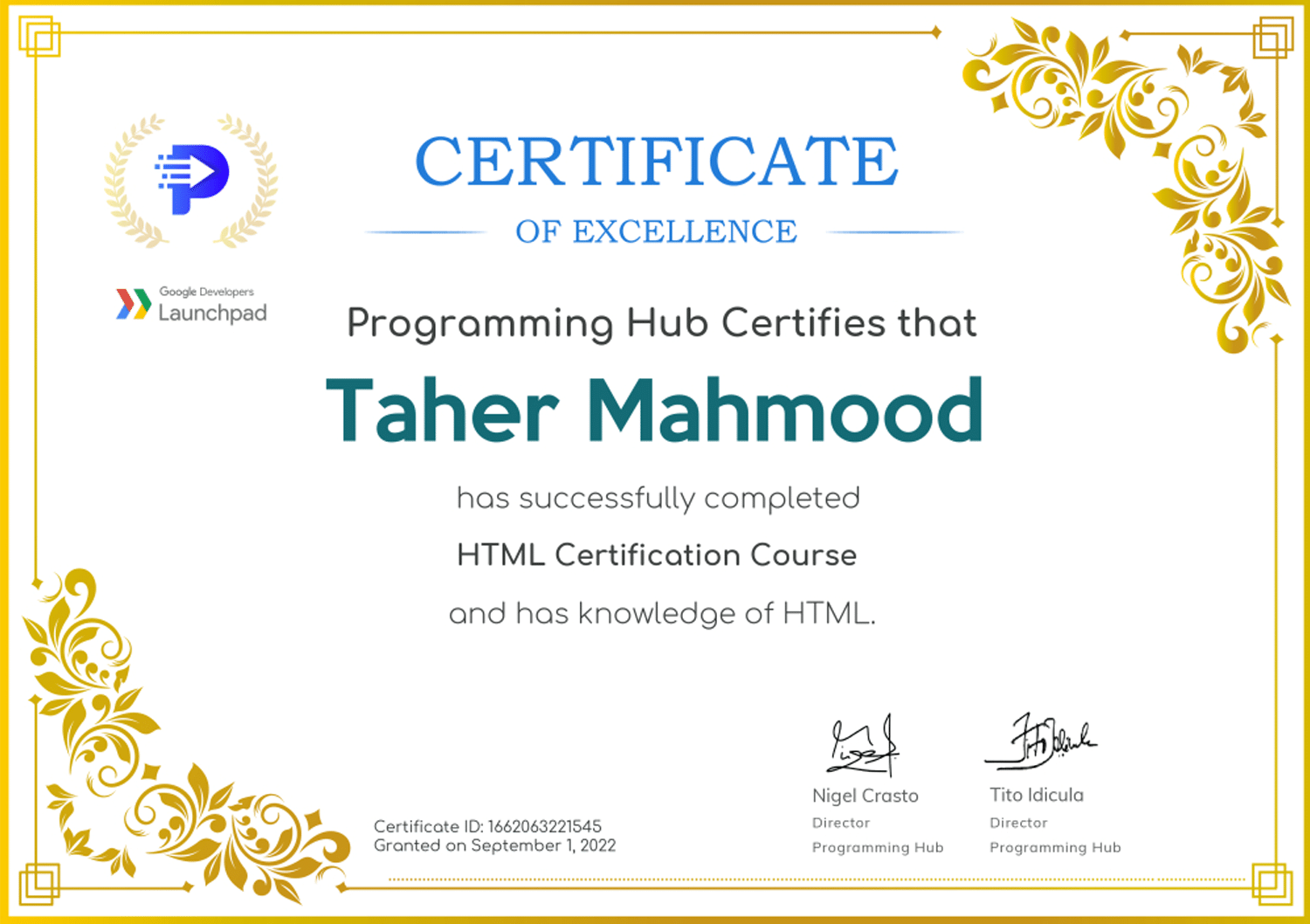 Programming Hub, HTML Certification